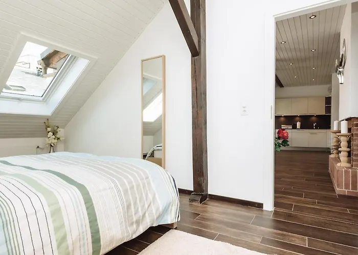 - Superb Flat By The Nyon